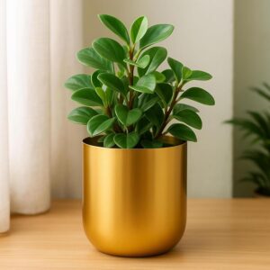 wooden greenery